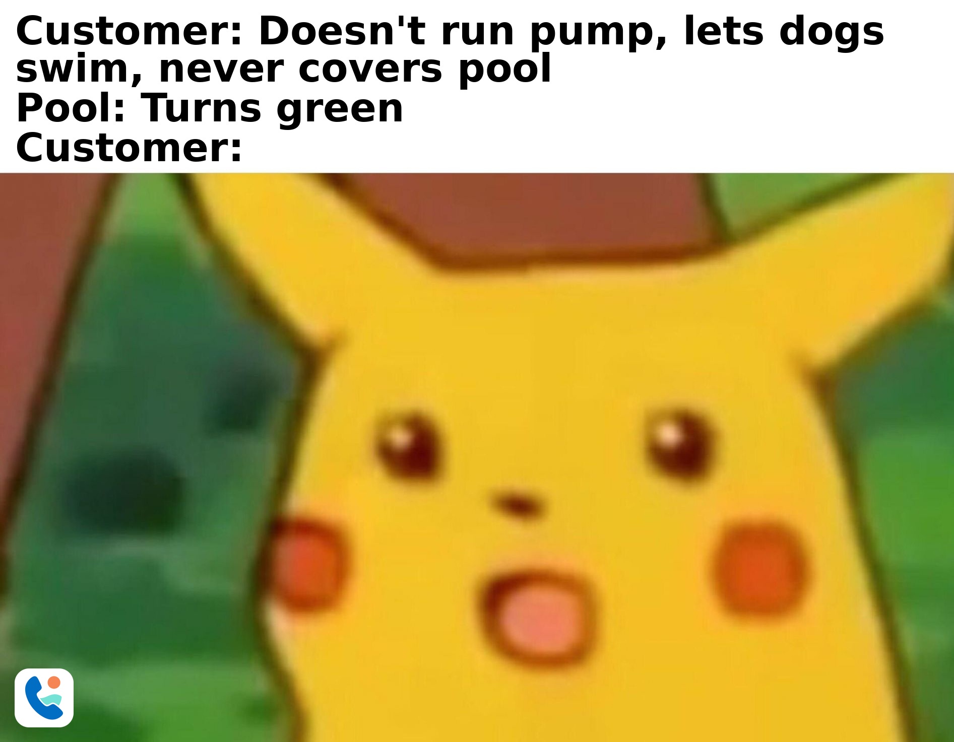 Surprised Pikachu - customer doesn't run pump, lets dogs swim, never covers pool - pool turns green